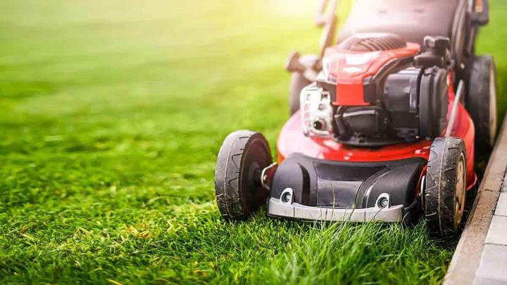Intervention professionnelles pour entretenir votre espace vert.
